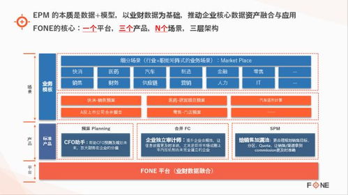 后ERP時代企業軟件開發決策指南